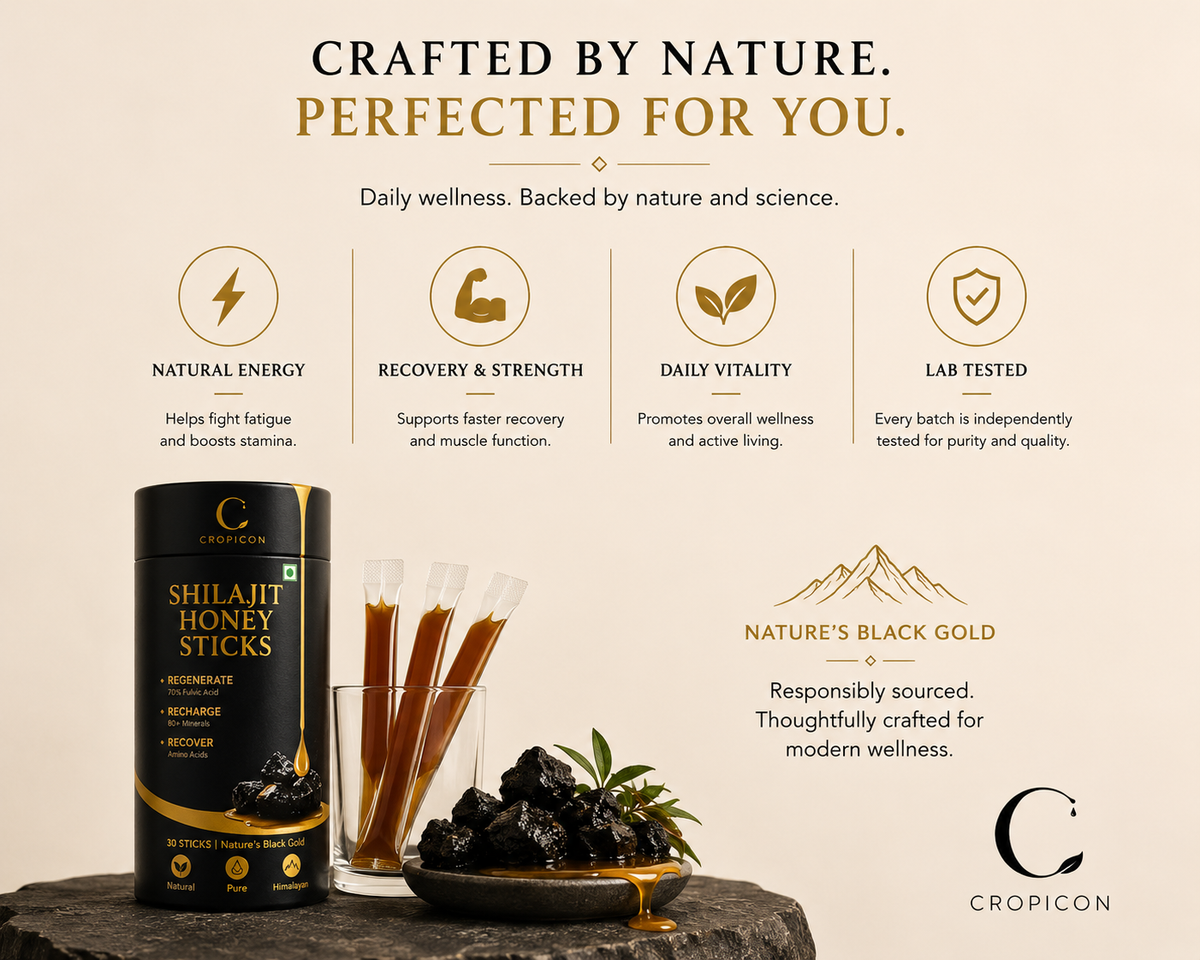 Cropicon Shilajit Honey Sticks